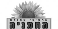 Talgroup-website-ver8-17